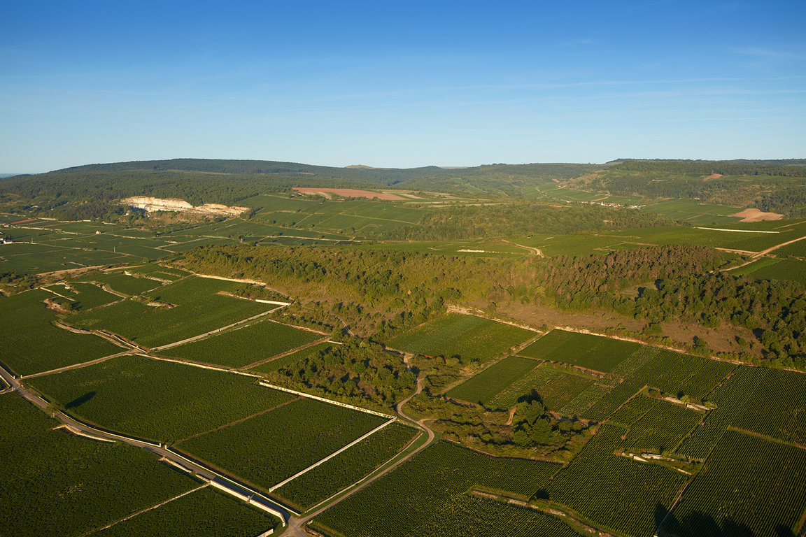 Chassagne-Montrachet & Saint-Aubin