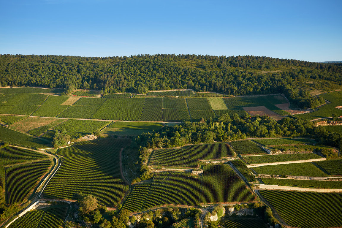 Meursault Blagny