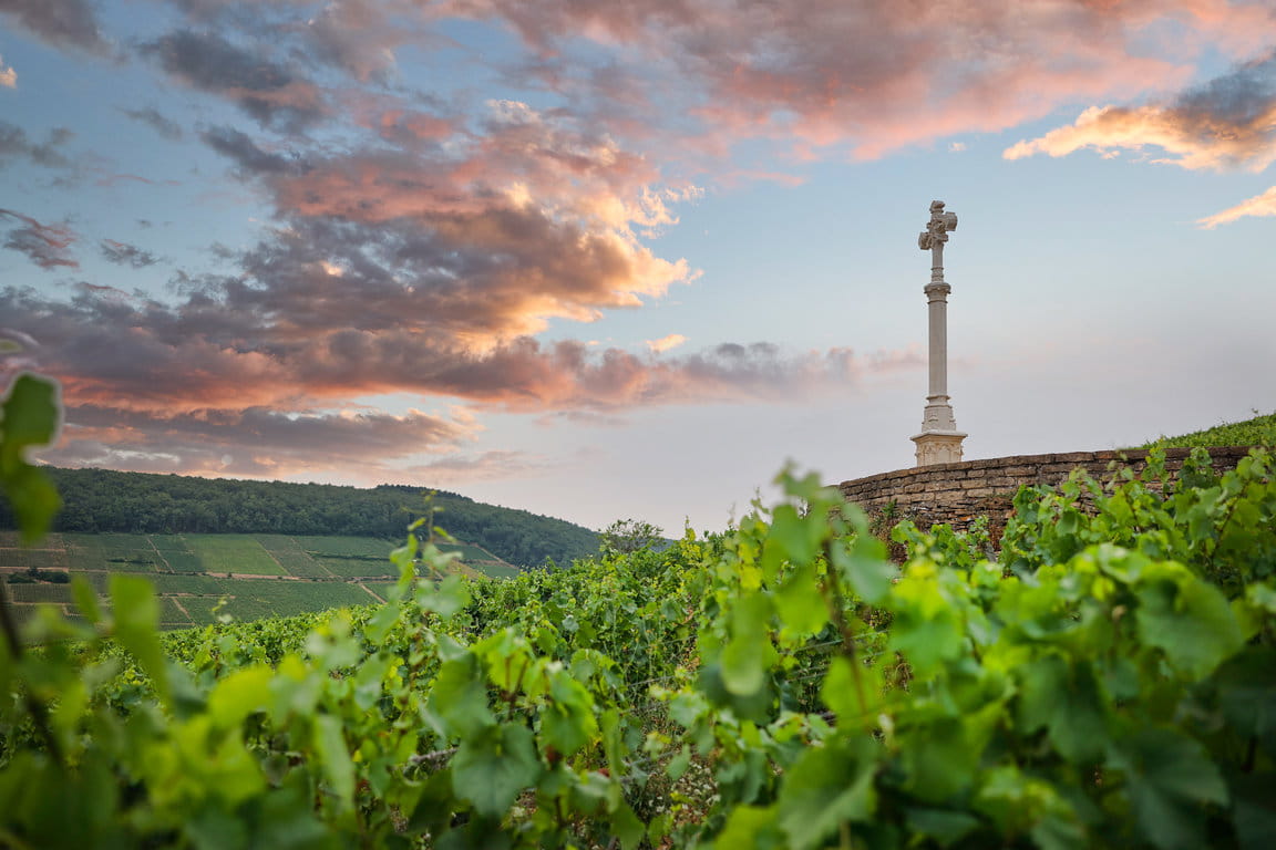 Charlemagne cross