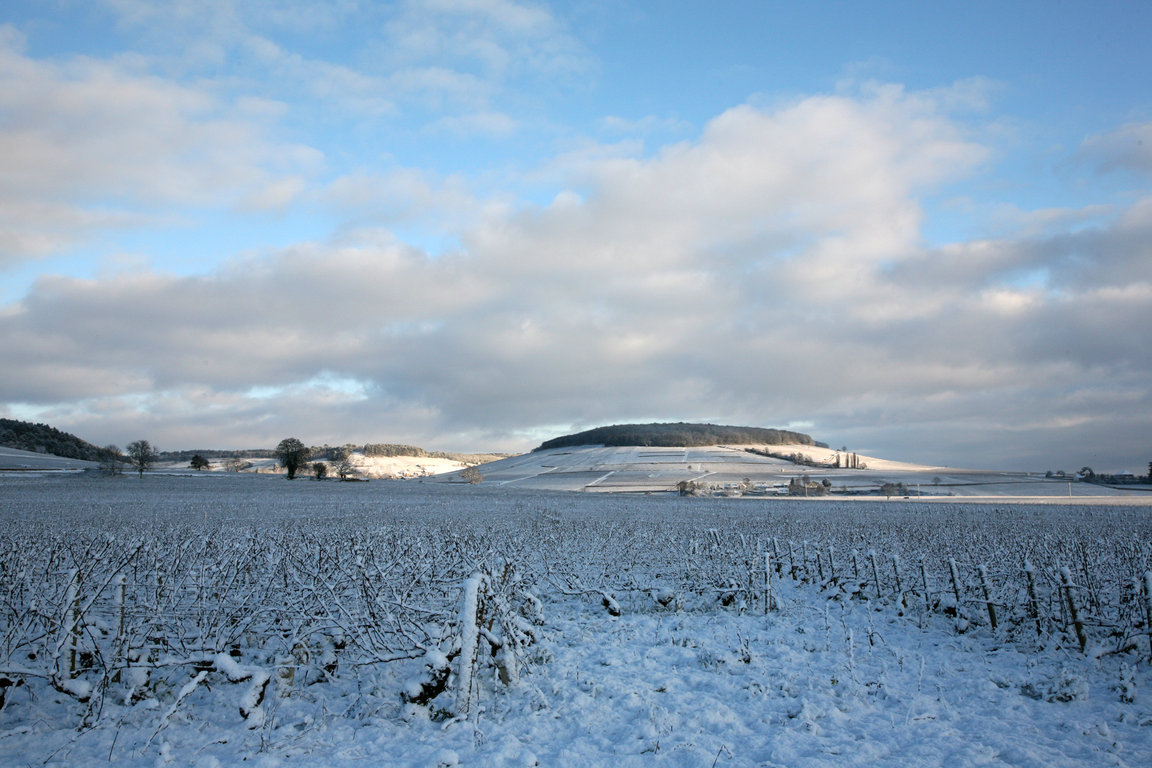 Colline des Cortons