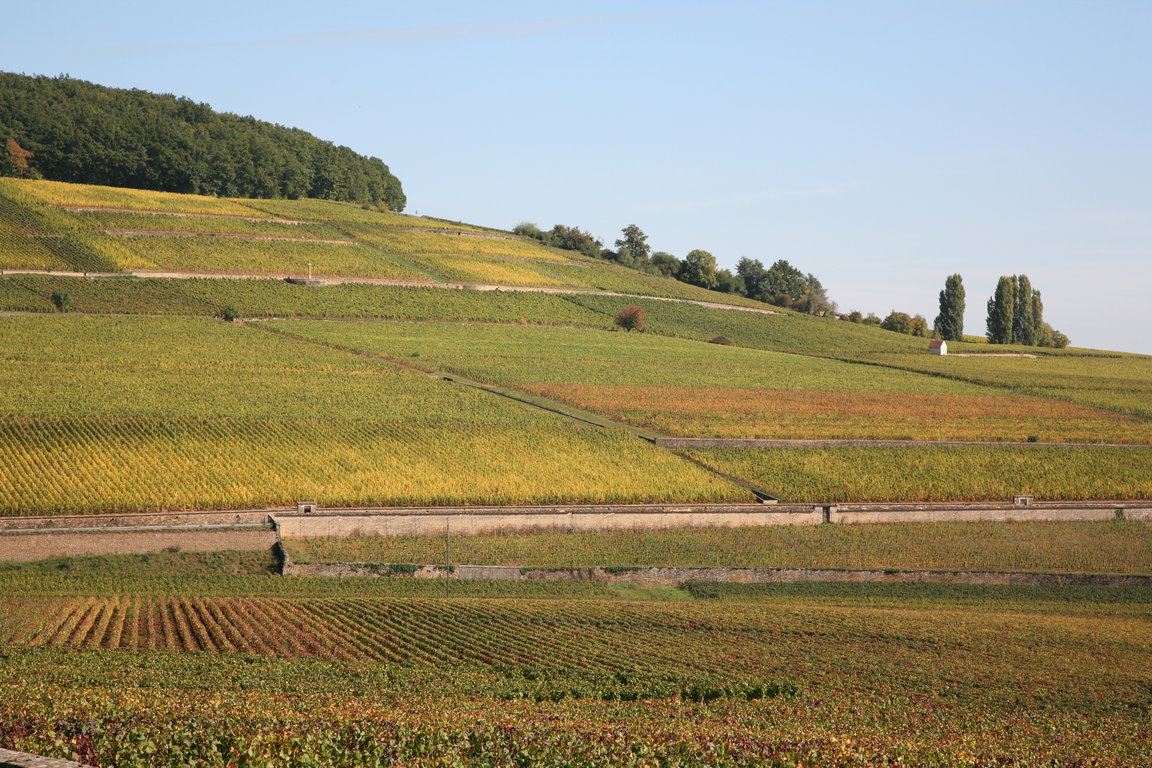 Colline des Cortons