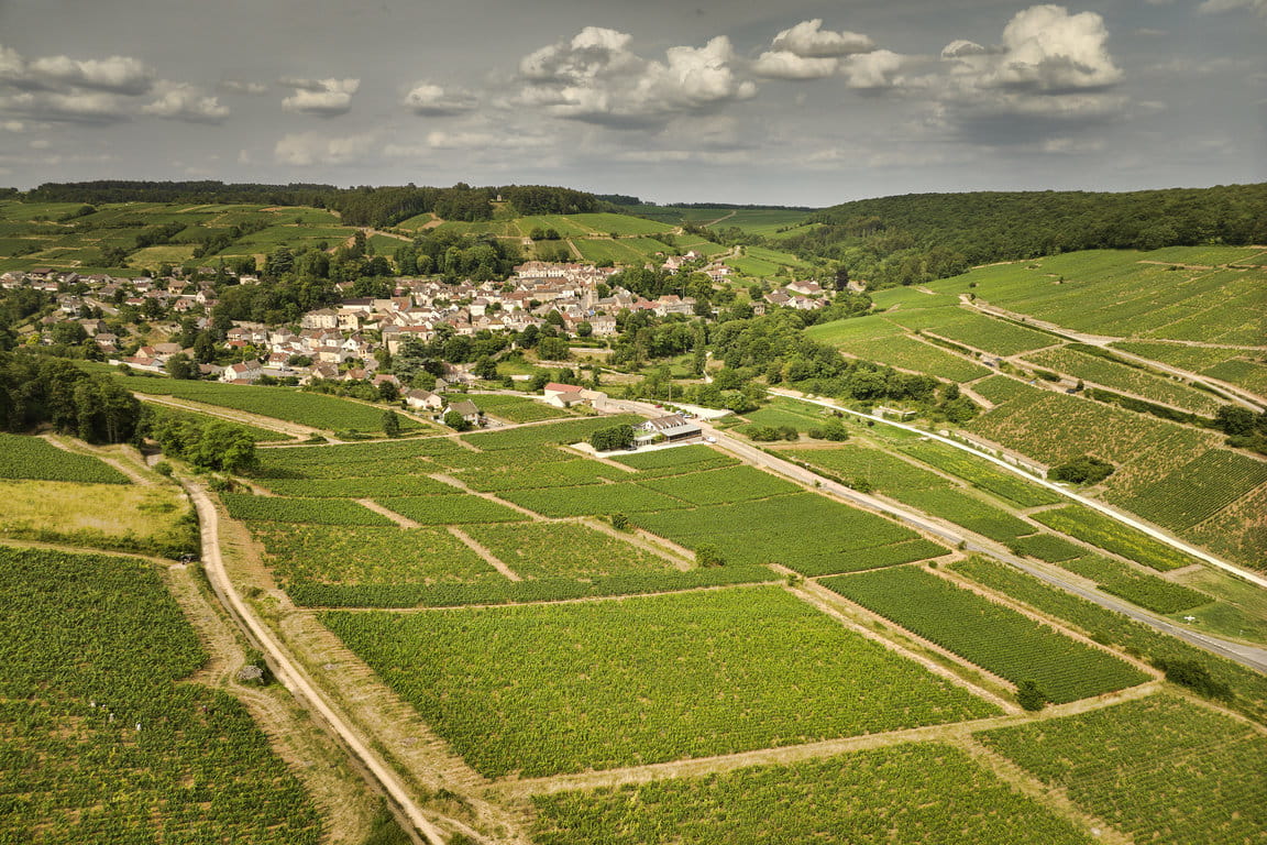 Parcelle de Pernand-Vergelesses 1er Cru "En Caradeux"